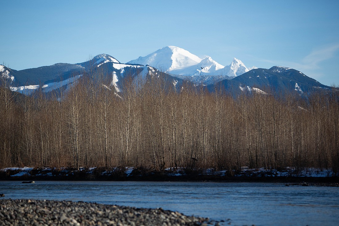 The Nooksack River flows beneath Mount Baker near the Nooksack Indian Reservation on Sunday, Jan. 9. The Tribe is leading the effort of a climate-adaption plan to preserve their ancestral lands and the surrounding region.