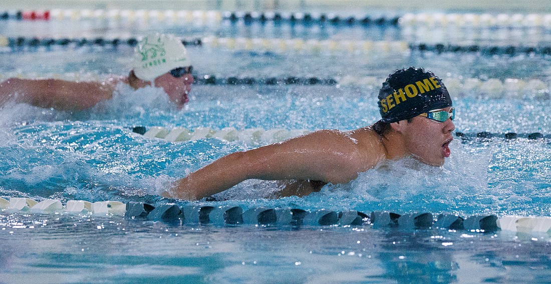 Sehome swimming races past Lynden