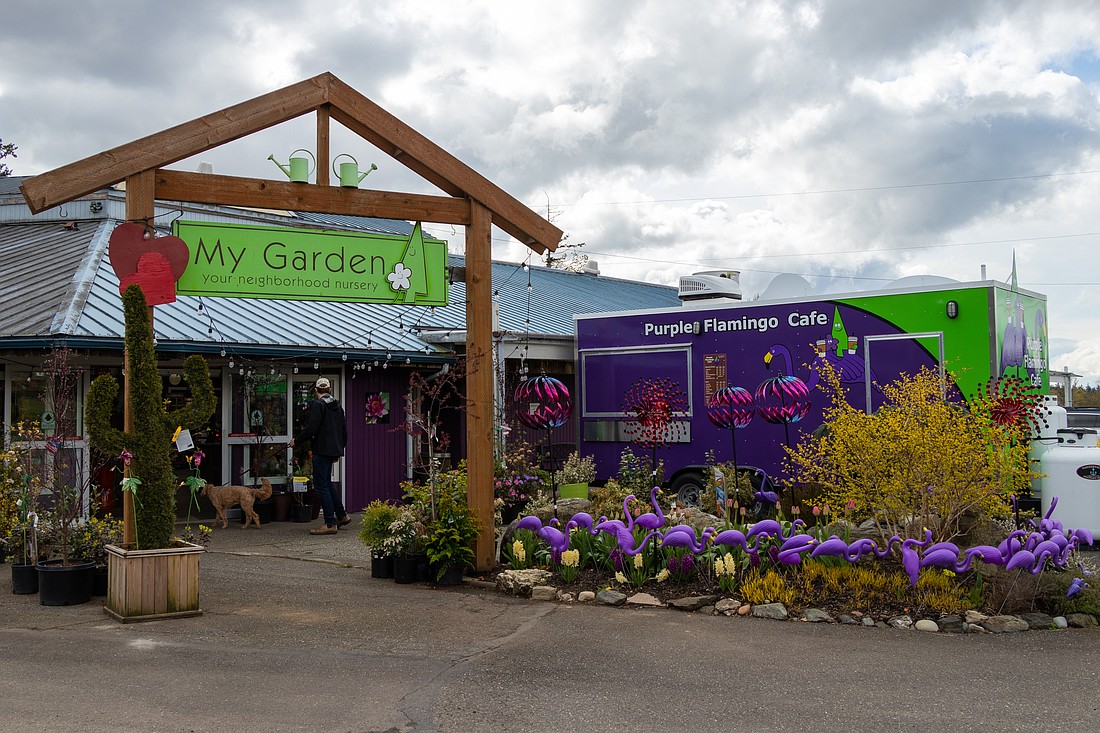 The Purple Flamingo Cafe is set to open on Friday, April 15 at the My Garden Nursery in Bellingham.