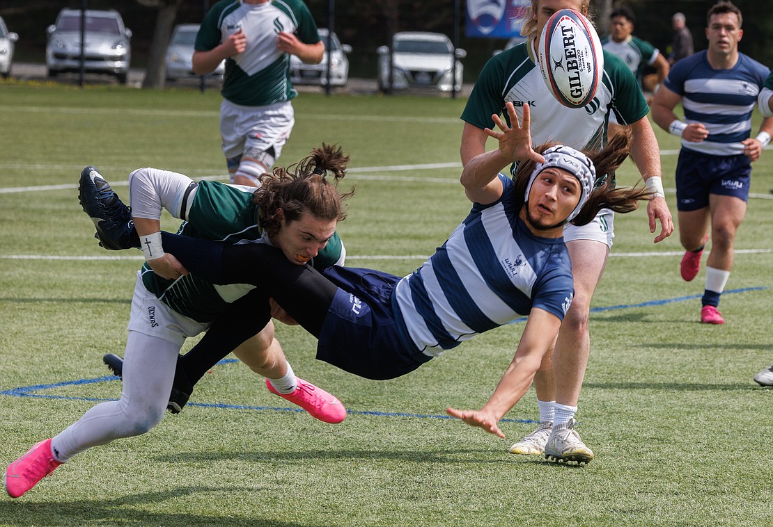 Western Washington University’s Raven Borsey throws the ball back as he is tackled. Western’s men’s rugby team hosted the West Coast Collegiate Regional at Harrington Field on April 16-17.