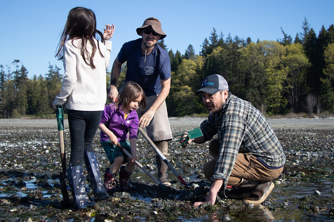 On the right, Ficus Chan of Crab Bellingham gives clamming tips during an Earth Day outing at Birch Bay State Park. The gathering also included a forest foraging walk, and a post-dig potluck featuring fresh seafood and foraged foods.
