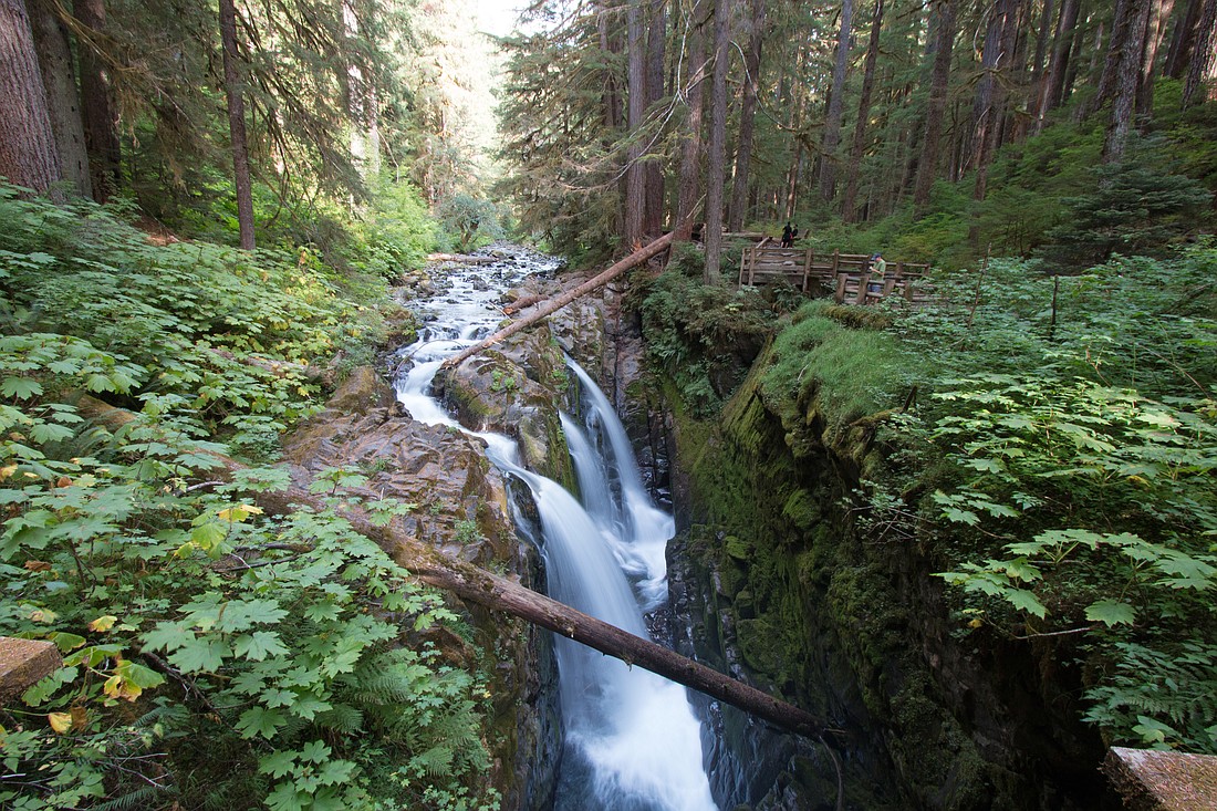 Sol Duc Falls, an easy hike from the Sol Duc Hot Springs area, is a popular destination in Olympic National Park.