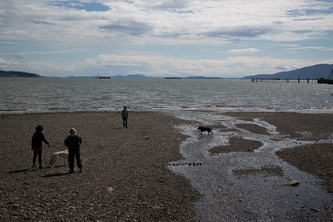 People and dogs roam Squalicum Beach where the Little Squalicum Estuary runs into Bellingham Bay on May 9.
