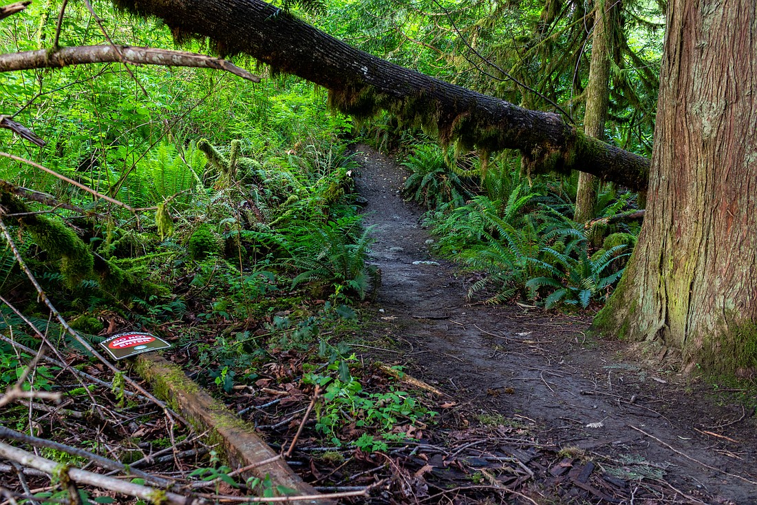 The unsanctioned trail Surfin' Turf was closed by Whatcom County, which has placed closed signs and have made efforts to abandon the trail to prevent use on June 6.