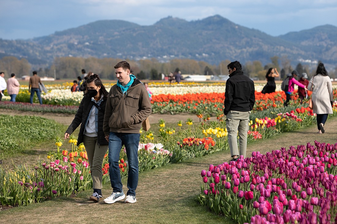 People explore the tulip fields at Roozengaarde on April 16. The Skagit Valley Tulip Festival brings hundreds of thousands of people to the region each year. The Skagit County Planning Commission is considering expanding agritourism offerings.