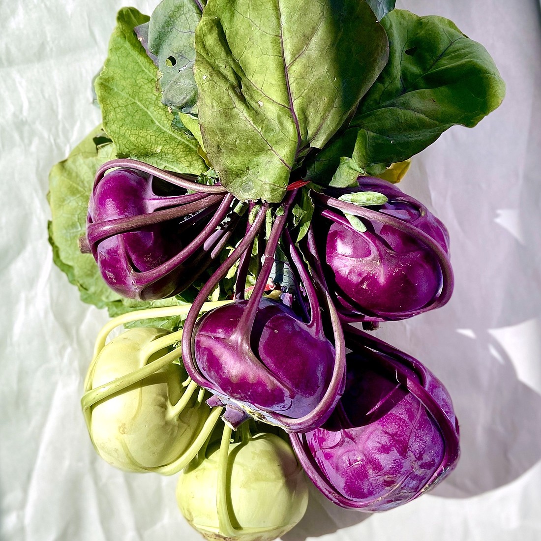 With its spiny skin and twisting stems, kohlrabi looks like it would take a lot of work to cook. But the brassica is surprisingly simple to prepare, and the payoff is many times over.