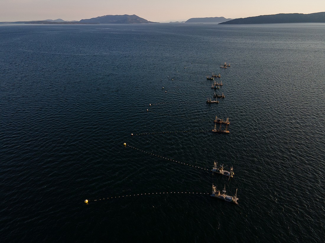 Reefnet boats sit off the shore of Lummi island on Aug. 20.