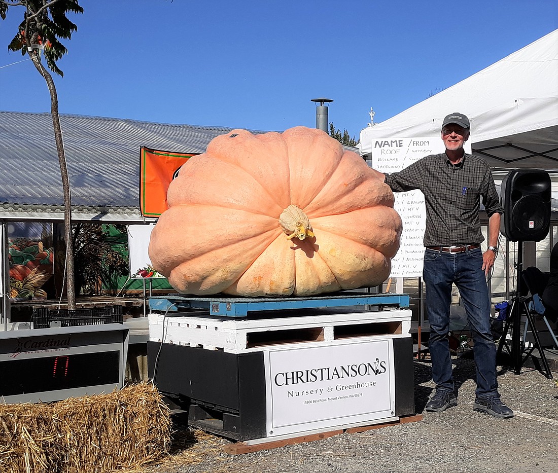 At the 2019 Skagit Valley Giant Pumpkin Festival, Lee Roof from Oak Harbor squashed the competition with his 1,548-pound pumpkin. At this year’s event taking place Saturday, Sept. 17, at Christianson’s Nursery, residents from around the state will compete in the weigh-off. Music, activities for kids and more will be part of the fall-focused festivity.