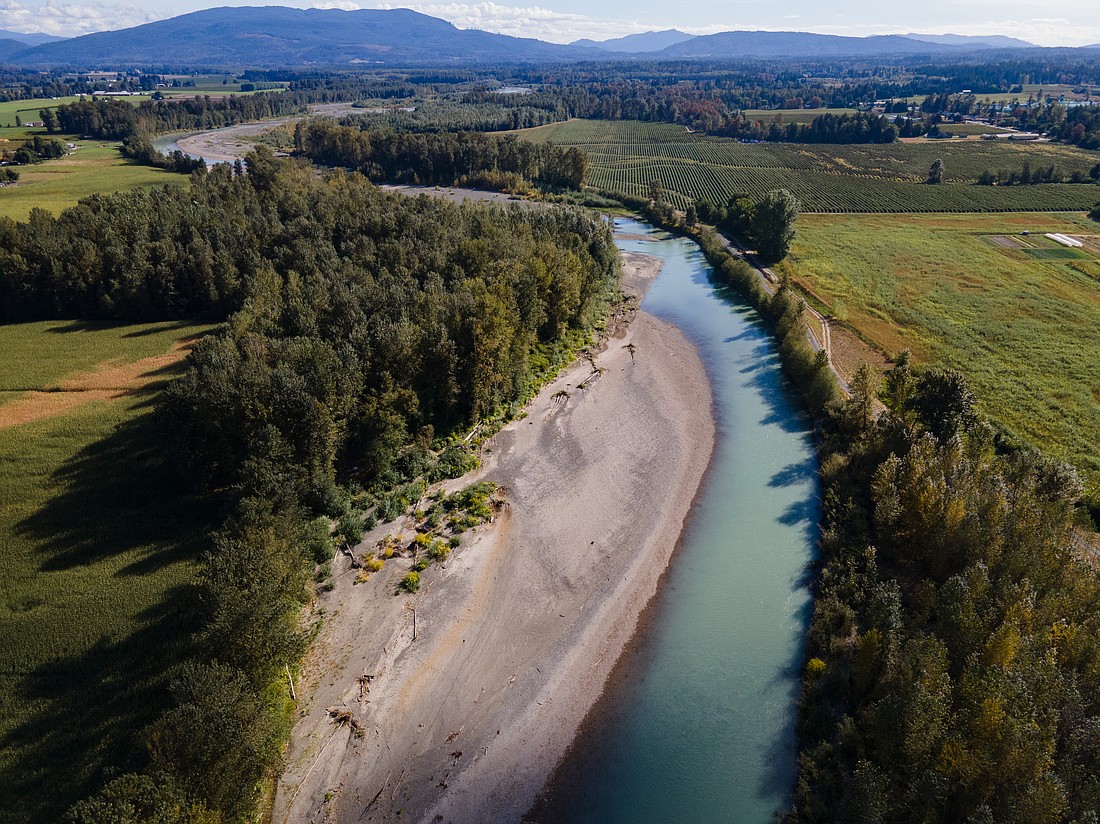 The county plans to remove vegetation and gravel from about 150 feet of the Nooksack River near Everson. The goal, county officials say, is to promote water flow into a side channel when water levels start to rise.
