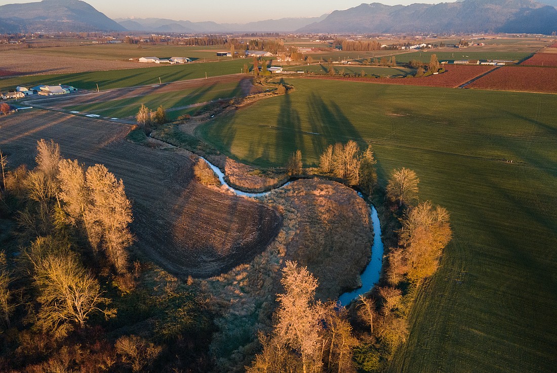The Sumas River winds through north Whatcom County and crosses the Canadian border, eventually draining into the Fraser River. Historically, though, it flowed into the former Sumas Lake, which was drained in 1924.