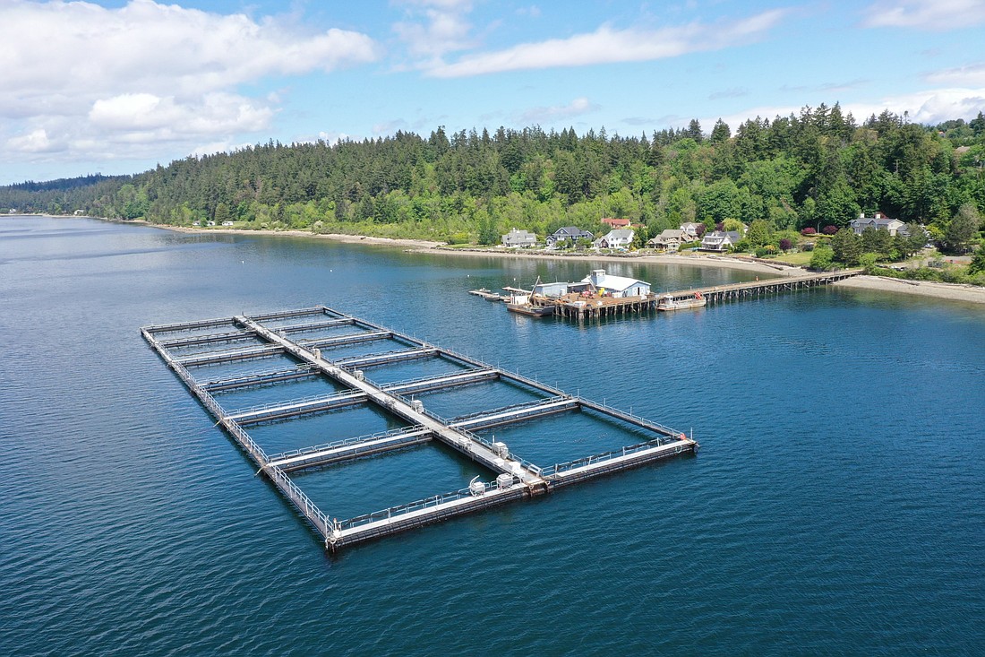 DNR prohibits future net pen aquaculture on state-owned lands