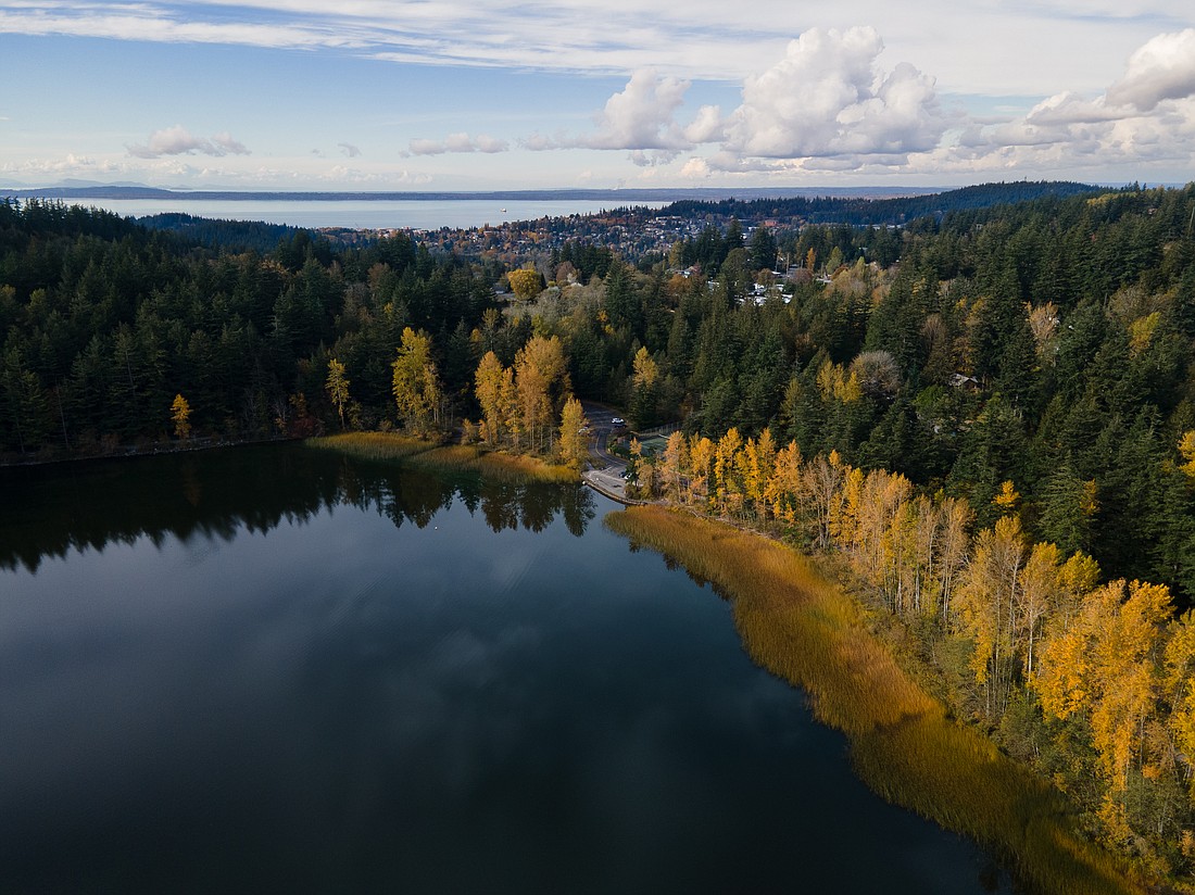 Lake Padden Park shows off its fall colors earlier this month. Greenways planners are calling for a trail connecting Lake Padden and Whatcom Falls parks, among other developments across Bellingham.