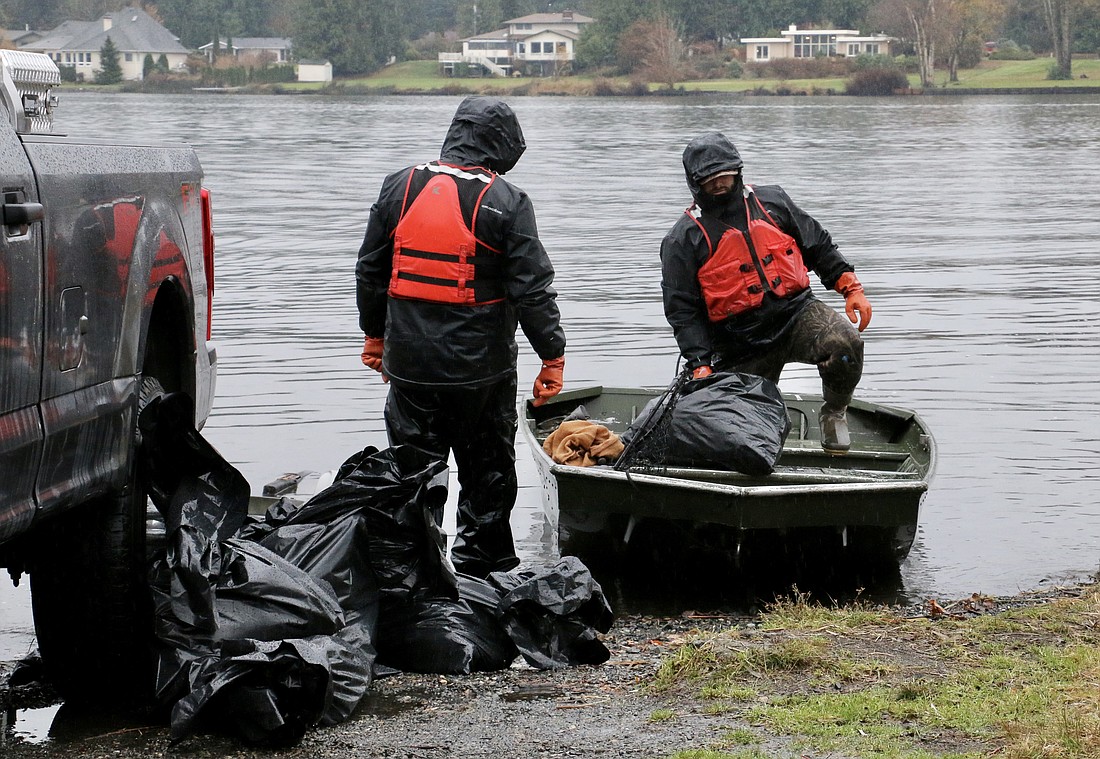 Daniel Zimmerman, right, a biologist at the Washington Department of Fish and Wildlife, has spent several days hauling dead birds out of the waters at Wiser Lake in Lynden, placing them in heavy-duty trash bags for transport.