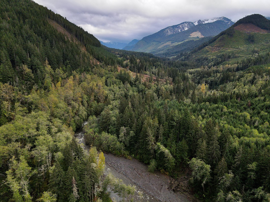 Trees surround Clearwater Creek outside of Deming. The Washington Green Amendment, which seeks to protect and conserve the state's natural resources, is expected to be reintroduced in the 2023 legislative session.