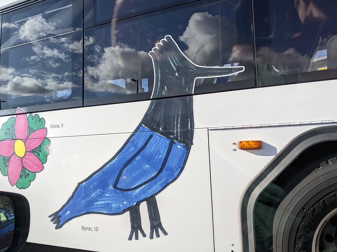 A drawing of a Steller's Jay adorns a WTA bus in Bellingham on Nov. 6.