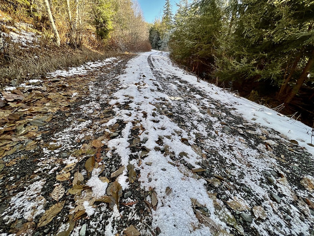 CL-1000, a logging road partially owned by Sierra Pacific Industries, is an alternate route to the Canyon Lake Community Forest that Whatcom County leaders are requesting a permanent easement for.