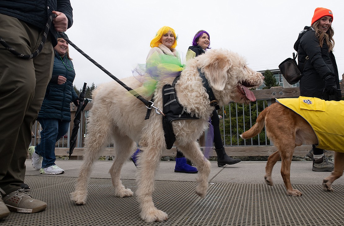 Marianna Dzis and Marley Dzis-Corey, center, wear Mardi Gras-themed wigs as they walk along dogs in the parade. Dzis-Corey lived in New Orleans for five years and founded the parade out of nostalgia for the holiday.