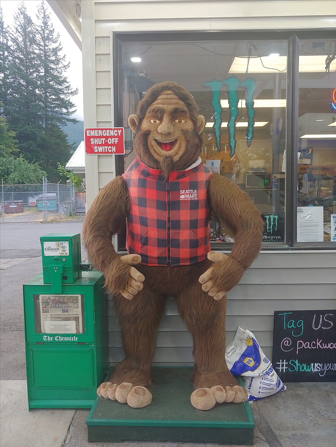 A Bigfoot sighting at a gas station in Packwood, Lewis County.