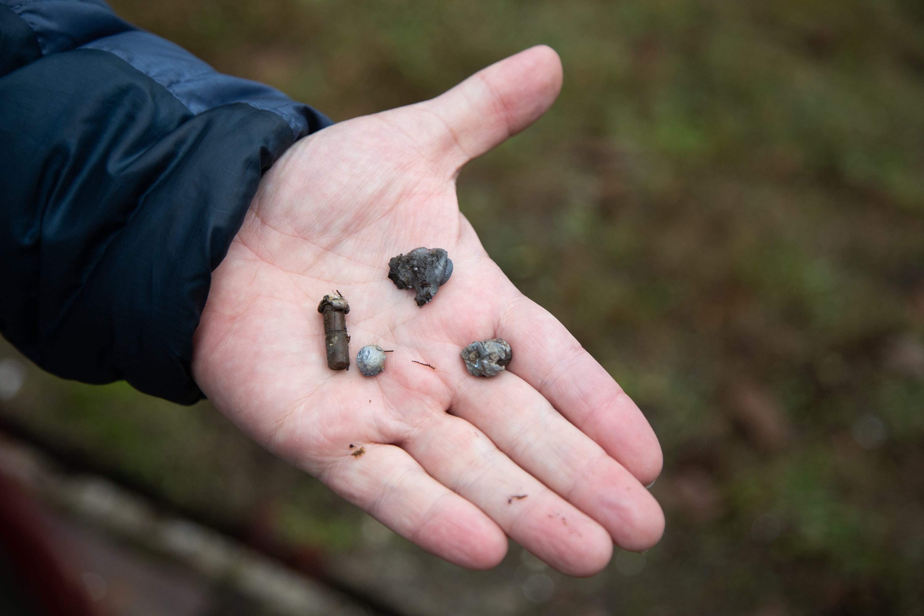 Five decades of bullet fragments and casings litter the ground at Plantation Rifle Range in Whatcom County.