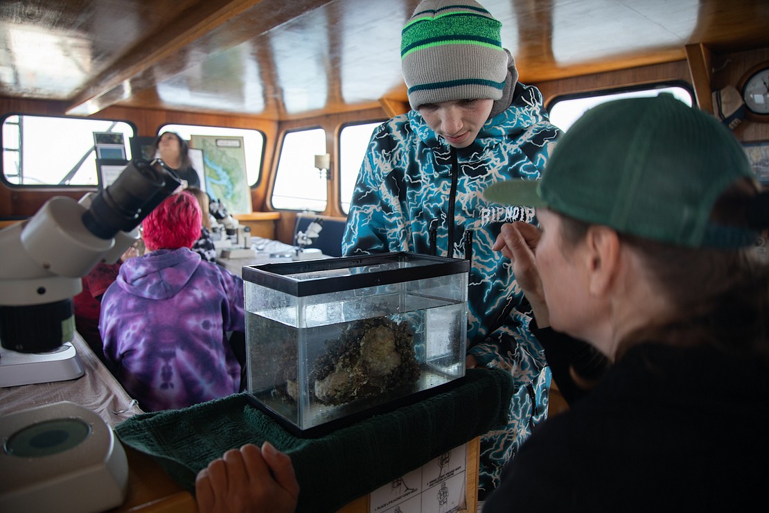 Student Aiden Libby, left, and instructor Beth Martin watch a hunk of barnacles feed on the organisms added from Bellingham Bay.