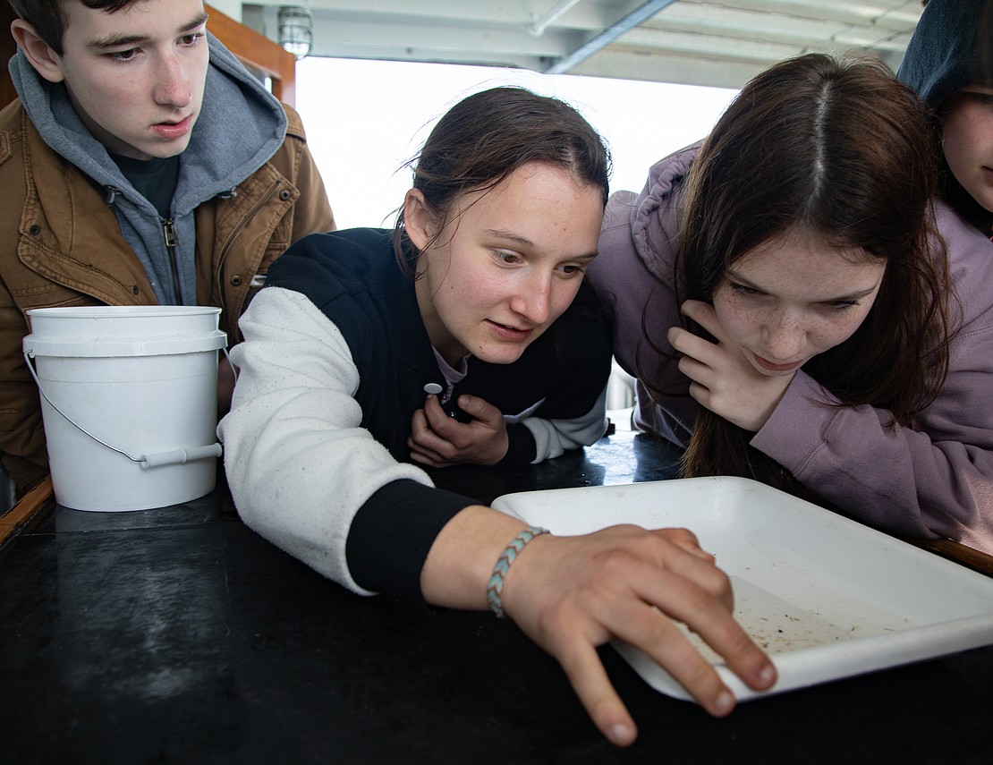 Avery Simmons, center, pokes at a sample of water, looking for any visible specimens before transferring it to a Petri dish to look at under a microscope.