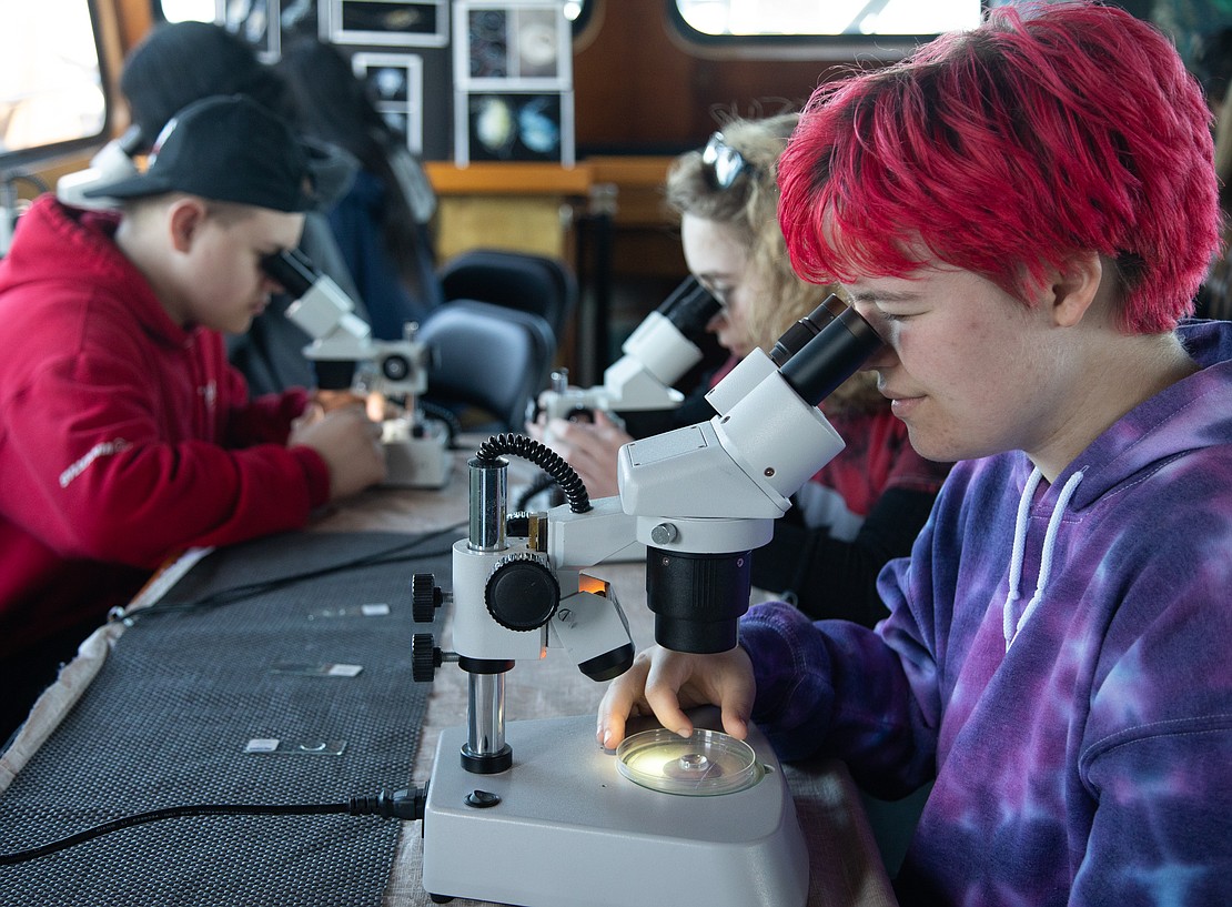 Gwen Pidgeon, right, and other students look through microscopes, finding plankton, worms and eggs in samples of water from the bay.