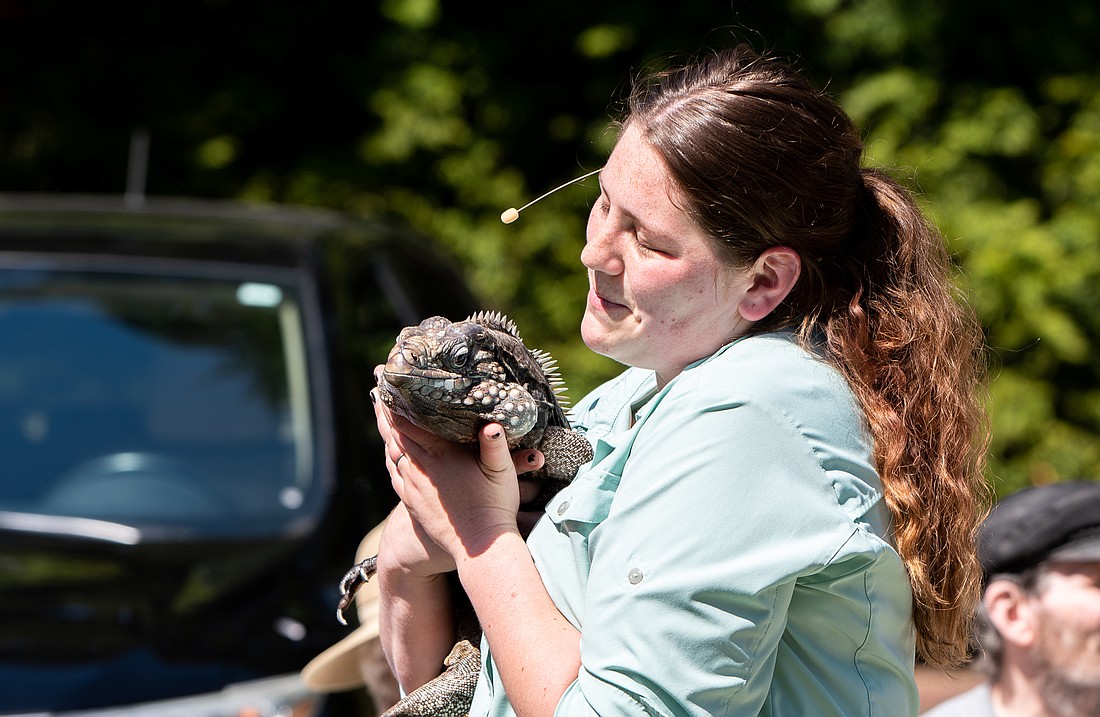 April Jackson — better known as the Reptile Lady — squishes the cheeks of Rocky, the 35-year-old rock iguana, May 12 while showing reptiles to the residents of Orchard Park, a retirement community in Bellingham.