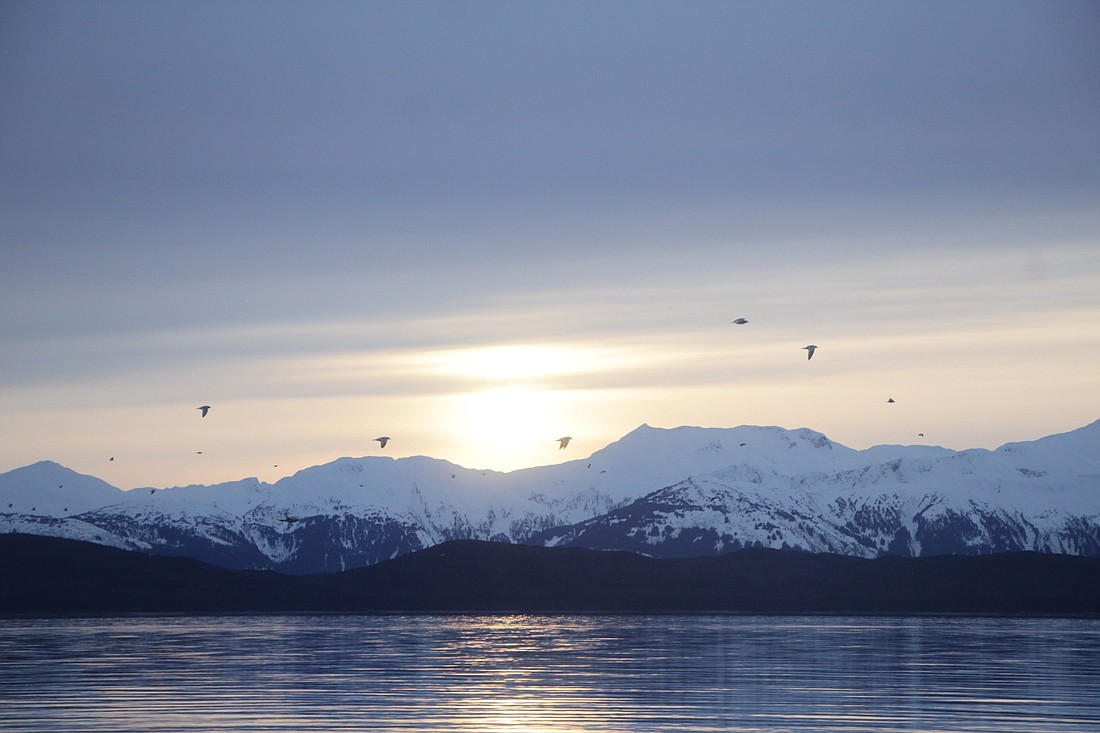The sun looms behind Alaska's Chilkat Range, west of Juneau. Life in the mountains is often interrupted, sometimes rudely, by death in the mountains, CDN outdoors columnist Kayla Heidenreich laments.
