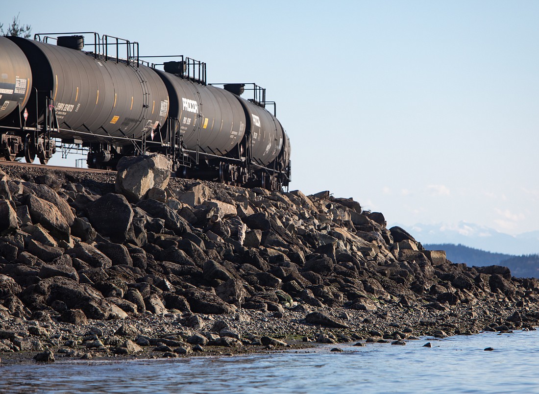 Hundreds of BNSF Railway train cars, like the ones pictured at Marine Park in April, pass through Whatcom County each day, and many of them are carrying hazardous materials like liquified petroleum gas or chlorine. If a train carrying the toxic materials derailed or spilled, the results could be "catastrophic" in the region, Whatcom County emergency management said.
