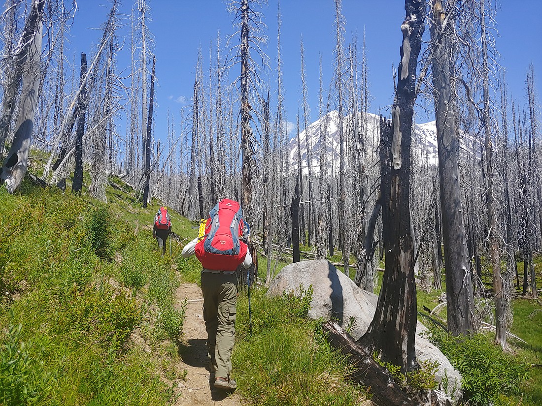 Holly and Caden Martin make their way along the Pacific Crest Trail on July 13, 2020. Jason D. Martin and his family occasionally section hike the PCT, a 2,653-mile trail that stretches from the Mexican to Canadian borders.