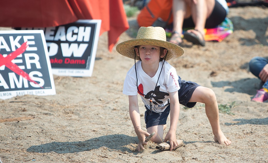 Cedar Posey, 7, plays in the sand while wearing a shirt advocating for the breaching of the Snake River dams, which have reduced salmon supply — a vital food source for Southern Resident orcas.