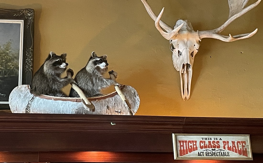Taxidermied raccoons Lewis and Clark were recently purchased from Habitat for Humanity and now reside at The Cabin Tavern in downtown Bellingham.