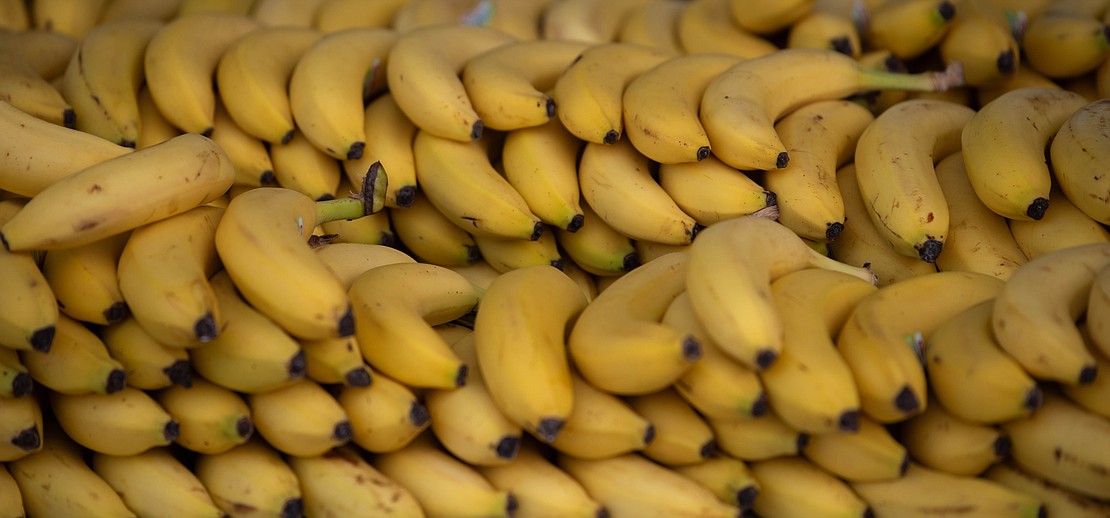 Hundreds of bananas wait for runners at the finish line.