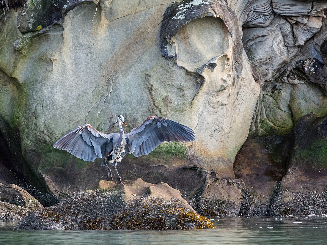 Photographer John D'Onofrio will be showing and selling his work as part of Allied Arts' 44th annual Holiday Festival of the Arts taking place Nov. 17 through Dec. 24 in downtown Bellingham. The annual art sale features more than 100 local artists, crafters and others.